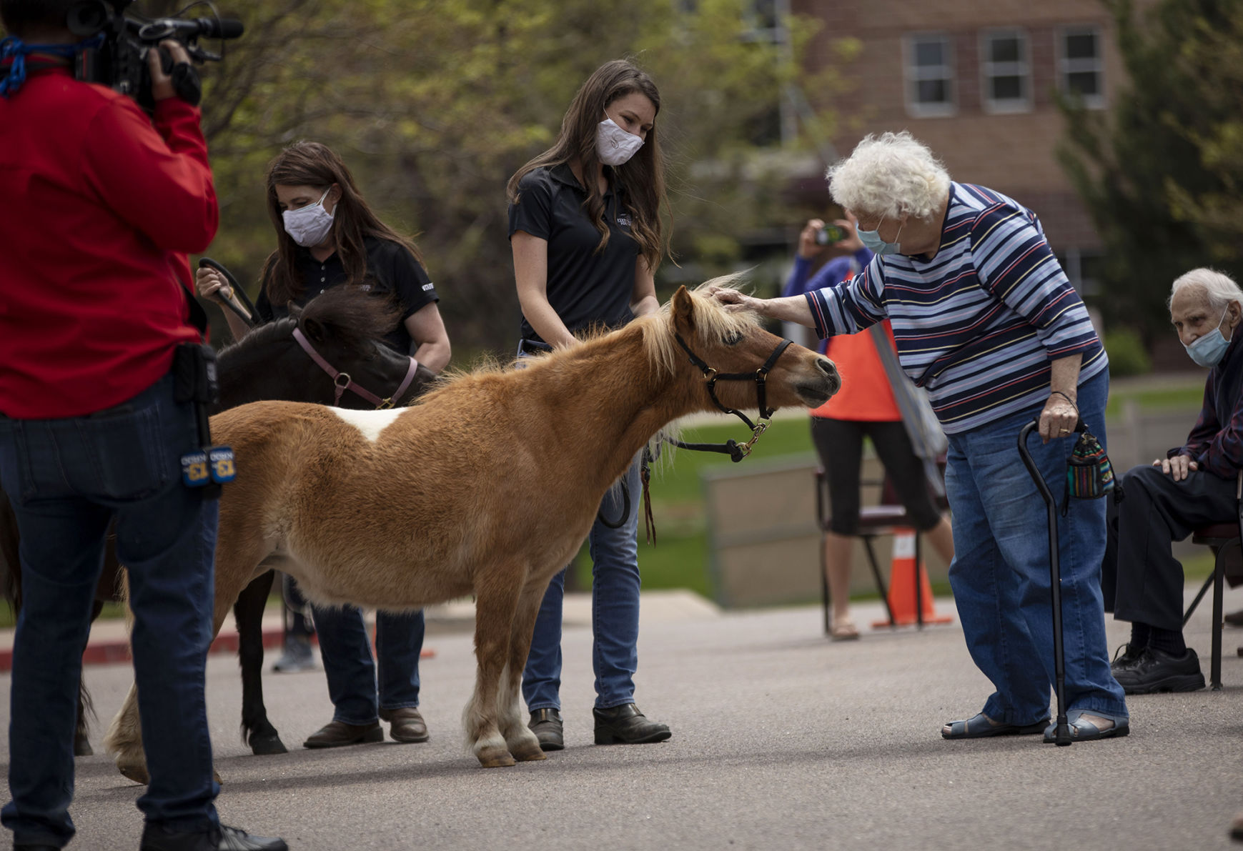 053020-news-minihorses 10.jpg